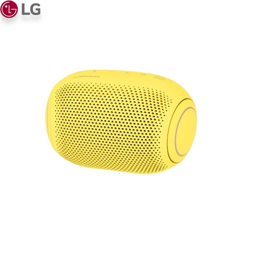 Loa LG PL2 41
